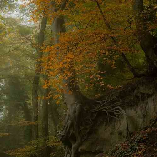  چهل سالگیم و می‌بینم به تخت بستنش دستاش و بستن ا دست نره